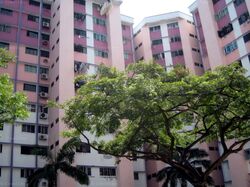 Blk 110 Bukit Purmei Road (Bukit Merah), HDB 3 Rooms #558831721